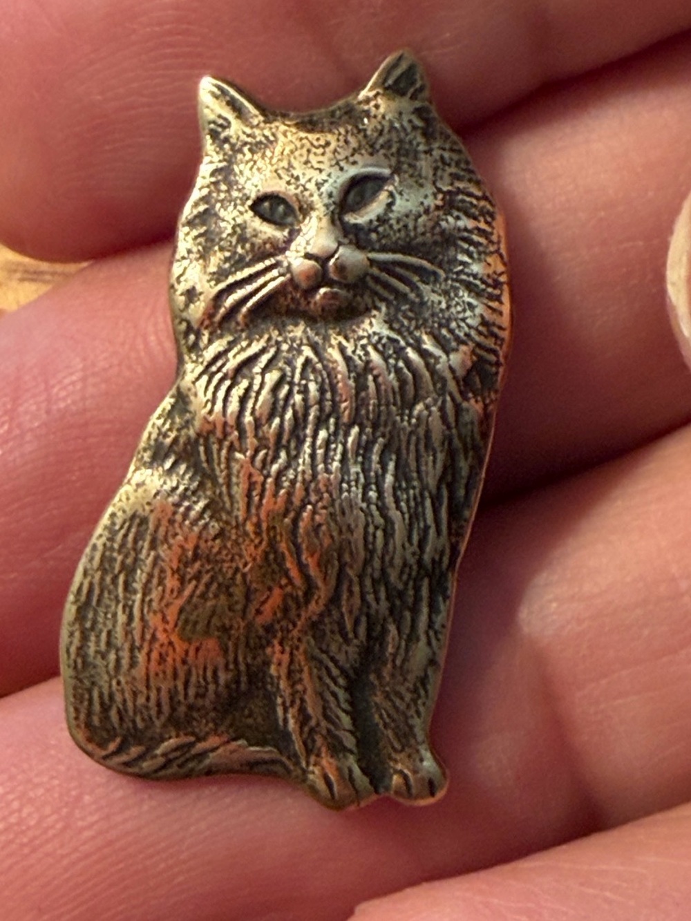 Vintage Richly Detailed Victorian Sitting Cat Brooch